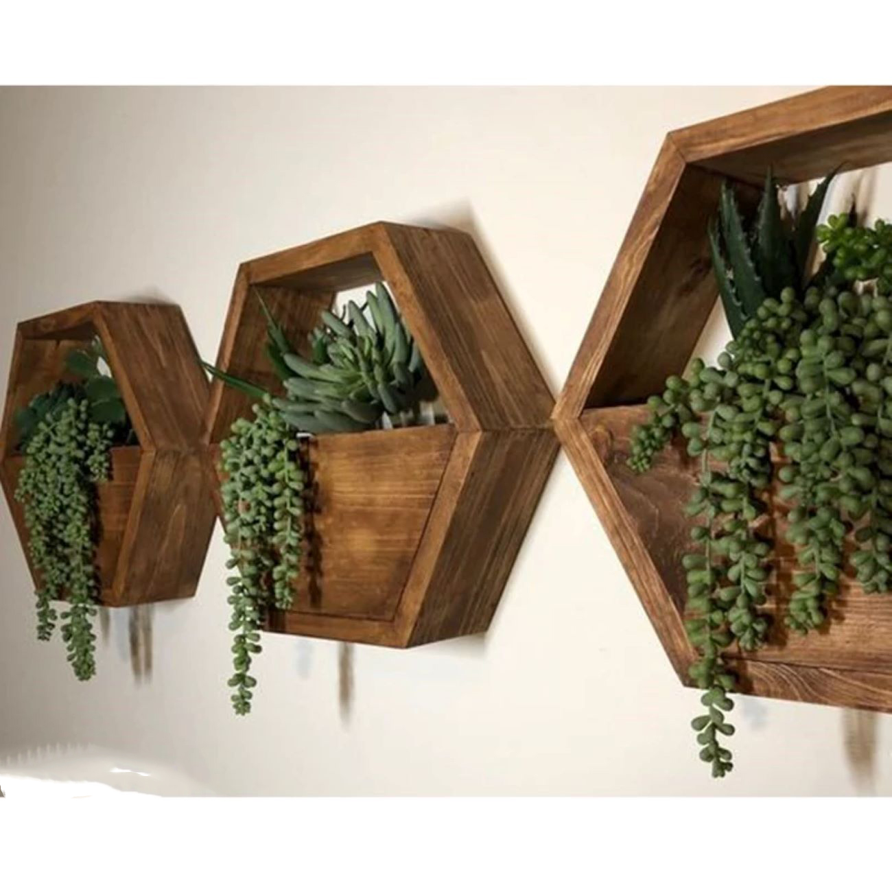 Hexagon Wandplantenbak voor Cactussen (Hout)