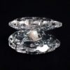 Large Seashell-Shaped Jewelry Stand for Displaying Rings, Earrings, etc (1)