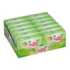Natural Chewing Gum with Pennyroyal Mint Flavor – 12-Piece Pack (3)