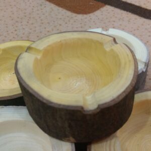 Natuurlijke Log Asbak – Rond Houtblok
