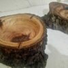 Tree Trunk Log Ashtray – Suitable for Eco-Friendly and Rustic Spaces3