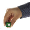 Chic Mint-Flavored Gum, Pack of 60 (1)