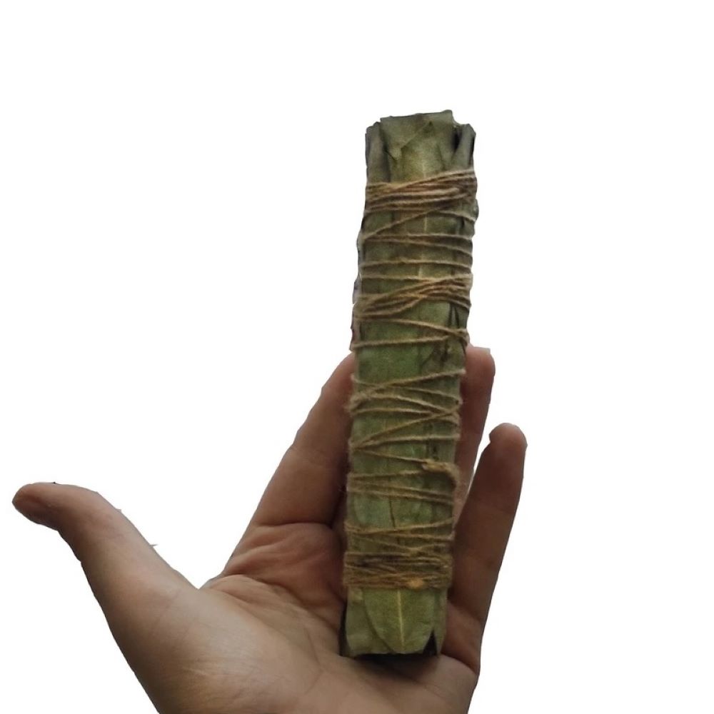 Natuurlijke Eucalyptus Smudge Stick – Reiniging & Meditatie
