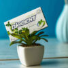 Sugar-Free Mini Stick Chewing Gum with Mojito Flavor by Biodent (6 Pcs) (2)