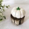Decorative Pumpkin Ornament Suitable for Mantel and Table Settings, (Set of 2) (3)