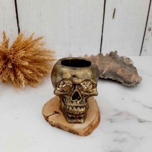 Doodskop Asbak – Schedel Design van Hars – Decoratief