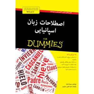 Spaanse Zinnen Voor Dummies – Susana Wald (Beeldwoordenboek)
